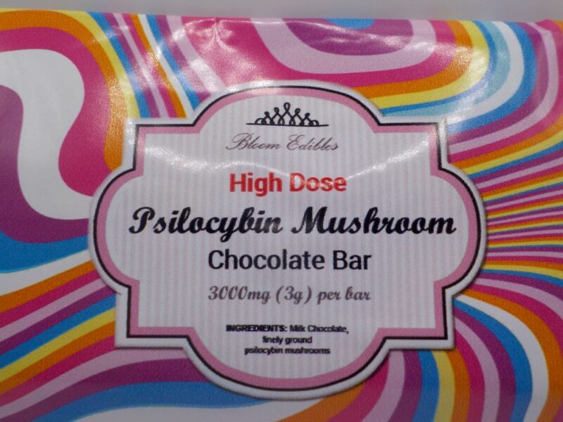 Mushroom Chocolate Bar 3g