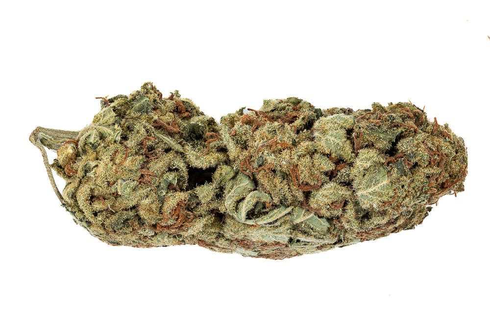 Tangie Cookies AA+ - Medical Remedy Express Tangie Cookies AA+