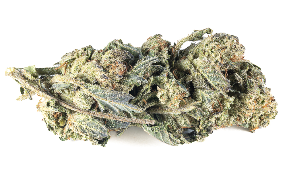 Death Scout AAA - Medical Remedy Express Death Scout AAA