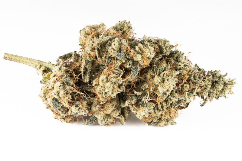 Halifax Weed Delivery - Medical Remedy Express Chocolate Diesel AAA+