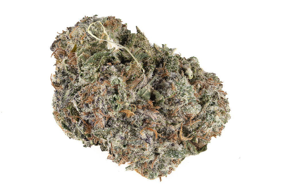Top Gun AAA+ smalls - Medical Remedy Express Top Gun AAA+ smalls