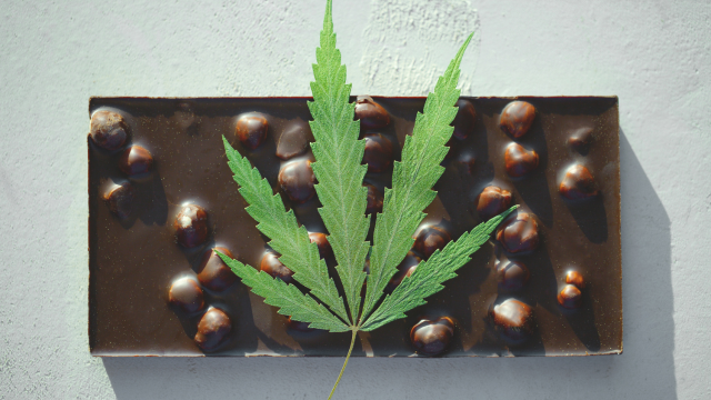Medicated Chocolate drop down List