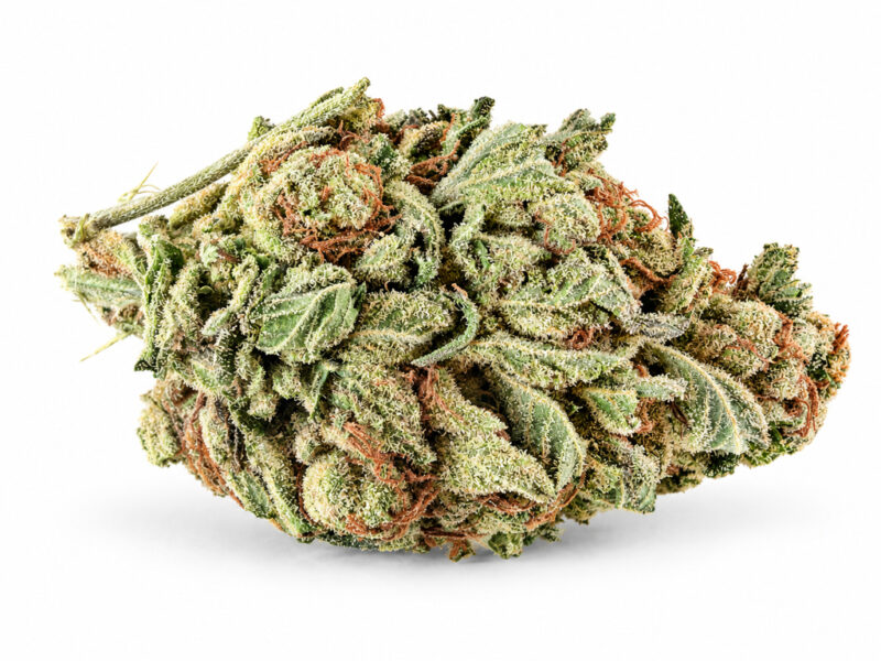 Cookie Glue AA+