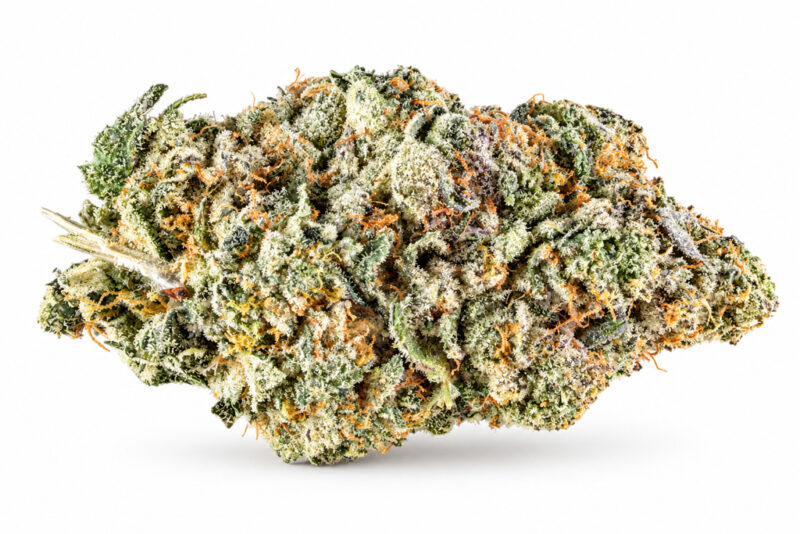 Menage OG AAAA 34%